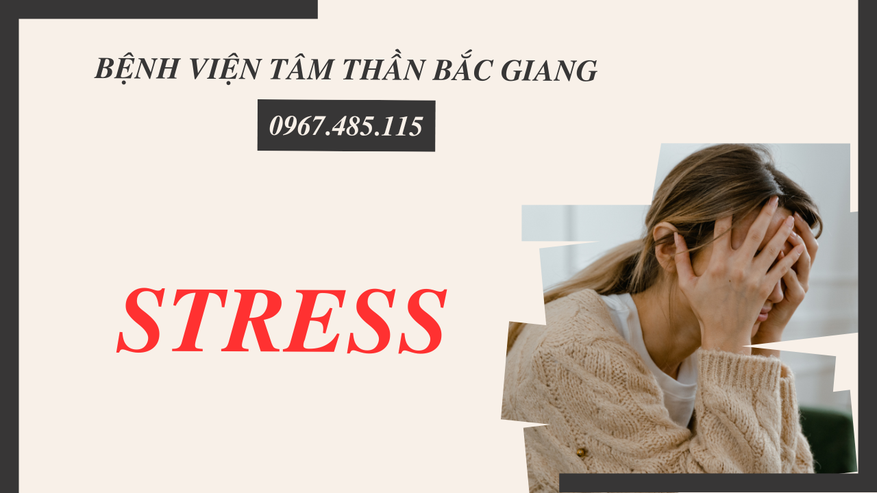 Stress là gì?