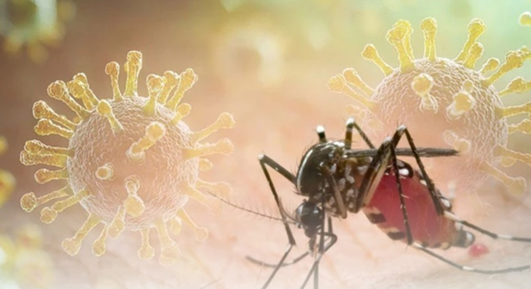 KHUYẾN CÁO PHÒNG CHỐNG BỆNH CHIKUNGUNYA